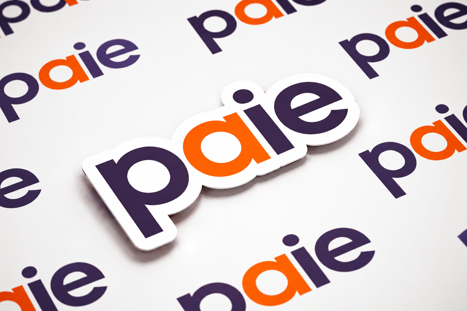 quicompte image paie